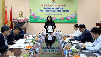 Mesyuarat pertama Jawatankuasa Pemandu Kebangsaan mengenai Pembangunan Industri Farmaseutikal Vietnam