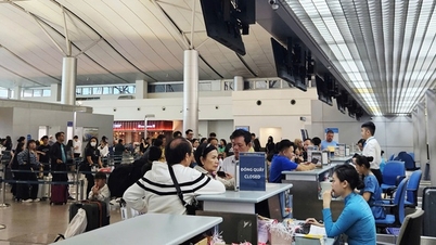 ¿Qué deben saber los pasajeros que llegan al aeropuerto de Tan Son Nhat con respecto al brote de gripe Nipah?