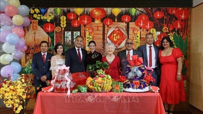 Promovarea valorilor culturale tradiționale în cadrul comunității vietnameze din Noua Zeelandă.