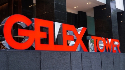 GELEX lãi trước thuế 4.636 tỷ đồng năm 2025, cao nhất lịch sử hoạt động