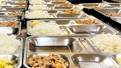 Ai đứng sau Sago Food, từ buôn nhiên liệu đến cung cấp bữa ăn bán trú ở TP.HCM?
