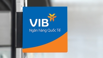 VIB: De winst in 2025 zal meer dan 9.100 miljard VND bedragen.