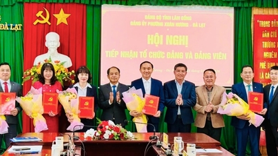 O Comitê do Partido do bairro de Xuan Huong, em Da Lat, assumiu o controle de 5 organizações partidárias do setor bancário.