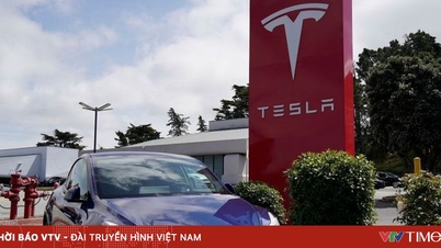 Lợi nhuận Tesla sụt giảm mạnh