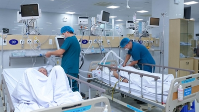 Το Νοσοκομείο Φιλίας Viet Tiep αναπτύσσει δύο επιπλέον εξειδικευμένα ιατρικά μοντέλα.