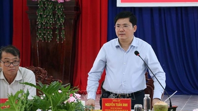 គណៈកម្មាធិការអចិន្ត្រៃយ៍នៃគណៈកម្មាធិការបក្សទីក្រុងកឹនថើ ទទួល និងដោះស្រាយអនុសាសន៍ពីថ្នាក់មូលដ្ឋាន។