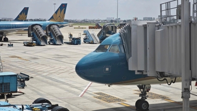 El aeropuerto de Tan Son Nhat establece procedimientos para responder al virus Nipah.