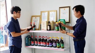 OCOP 製品は市場志向の考え方に移行しつつあります。