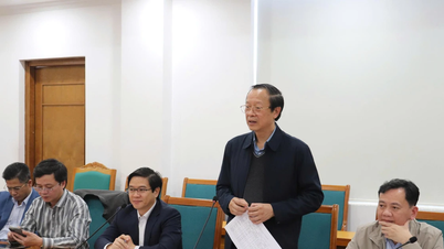 Ministerstwo Edukacji i Szkolenia współpracuje z prowincją Quang Ninh w zakresie państwowego zarządzania edukacją ogólną.