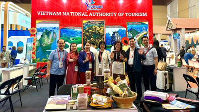 Promovarea turismului în Gia Lai prin intermediul târgului de turism Travelx 2026.