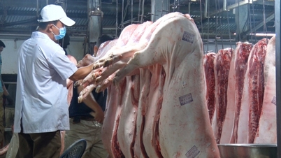 ダナンは2026年の旧正月期間中、家畜および家禽肉に対する食品安全対策を強化します。