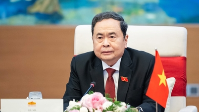 Mengkoordinasikan secara erat dan mengimplementasikan secara efektif kerangka kerja Kemitraan Strategis Komprehensif Vietnam-Uni Eropa.