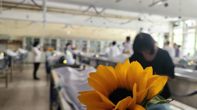 ມື້ພິເສດຢູ່ມະຫາວິທະຍາໄລການແພດ ແລະ ການຢາ ນະຄອນໂຮ່ຈິມິນ.