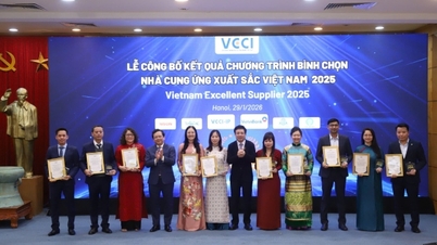 Hyllar 27 framstående vietnamesiska leverantörer år 2025.
