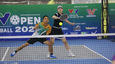 VTV Can Tho Pickleball Tournament 2026: A large-scale sporting event in the Mekong Delta.
