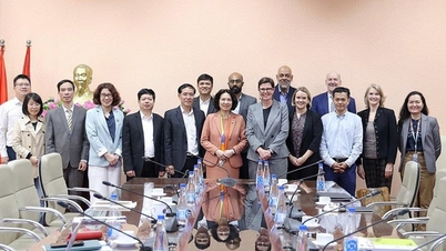 Η Υφυπουργός Nguyen Thi Lien Huong συνεργάζεται με διεθνείς εταίρους για την παρακολούθηση και τη διαχείριση της υπέρτασης σε σταθμούς υγείας.