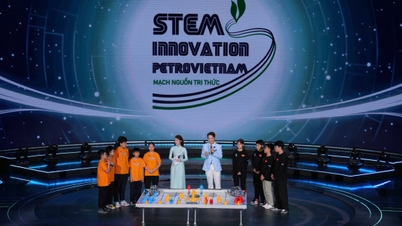 חדשנות STEM בפטרובייטנם - מקור ידע לעידן הטכנולוגיה