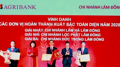 Agribank Lam Dong menyebarkan modal hijau kepada perniagaan.