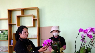 สร้างงานให้กับชนกลุ่มน้อยทางชาติพันธุ์