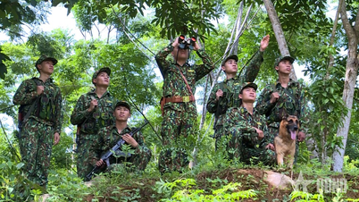 Grenswacht van de provincie Thanh Hoa: Felle strijd tegen drugscriminaliteit.