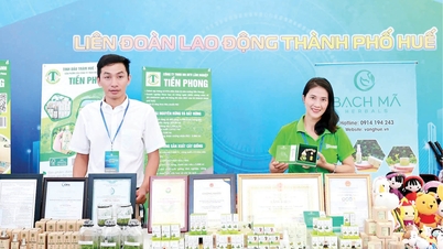 Produtos ecológicos feitos com óleo essencial de eucalipto-limão.