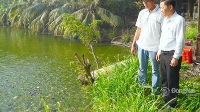 The fish farming village in Vam neighborhood is bustling with activity in preparation for Tet (Lunar New Year).
