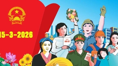 Vi phạm nào khiến người ứng cử đại biểu Quốc hội có thể bị loại?