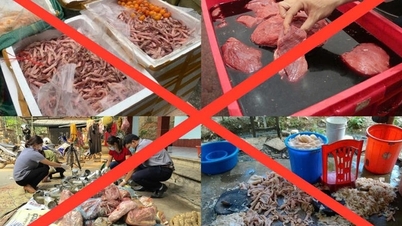 Di no a los alimentos contaminados.