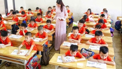 A abordagem dos professores em relação à tutoria e às aulas extras: mais do que uma questão de ética, é uma questão de filosofia educacional.