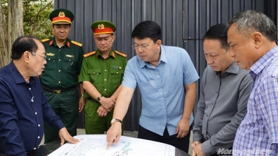 Lindungi hutan Phu Quoc dengan ketat daripada risiko kebakaran hutan.