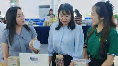 Gia Lai nominalizează 5 produse OCOP cu 5 stele.