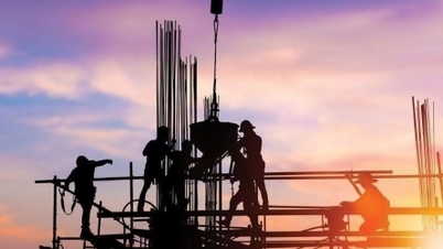 شرکت Dicera Holdings به 103.2 درصد از هدف سود خود برای سال 2025 دست یافت.