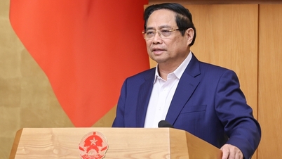 प्रधानमंत्री फाम मिन्ह चिन्ह ने जनवरी 2026 तक एक स्वर्ण विनिमय केंद्र स्थापित करने पर एक रिपोर्ट का अनुरोध किया है।