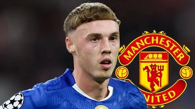 Die Führungsetage von Manchester United hat ihre Haltung zum Transfer von Cole Palmer klargestellt.