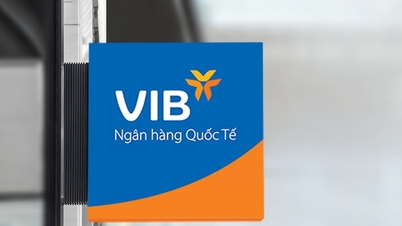 VIB：2025年の利益は9兆1000億ドンを超え、9年間の基盤構築を完了し、自信を持って新たな成長段階に入ります。