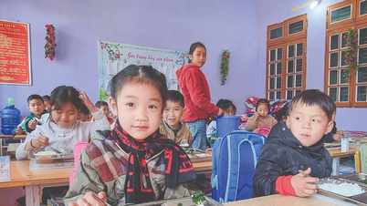 Ho Chi Minh-staden: Omfattande granskning av organisationen och tillhandahållandet av skolmåltider.