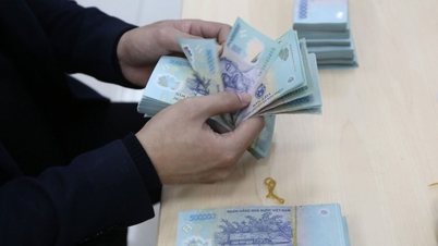 Основные новые правила вступают в силу с февраля 2026 года.