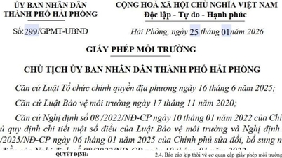 Hai Phong: Společnost Hoa My Company Limited je povinna přísně dodržovat zákony na ochranu životního prostředí.
