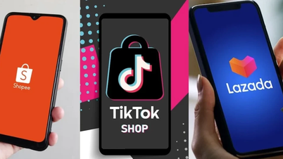 Vietnam's e-commerce market in 2025: Lazada and Tiki decline, sharing only 3% of the market share.