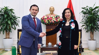 A vice-ministra das Relações Exteriores, Le Thi Thu Hang, recebe o diretor-geral da Zarubezhneft Vietnam.