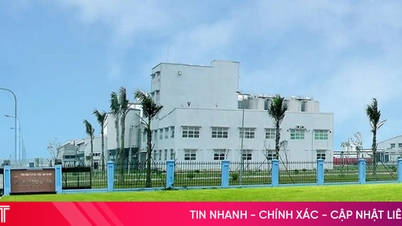 A Saigon Beer - Ha Tinh Co., Ltd. munkatársakat keres.