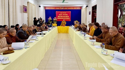 Vietnamská buddhistická asociace provincie Tuyen Quang zintenzivňuje své aktivity v oblasti sociální péče.