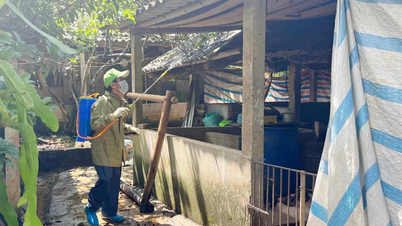 Measures to prevent Nipah virus infection in livestock.