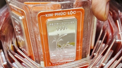 Silver prices today, January 30th: Plummeting