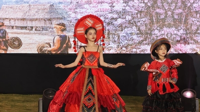 Leaders of Lam Dong province attended the "Echoes of Pink" art program.