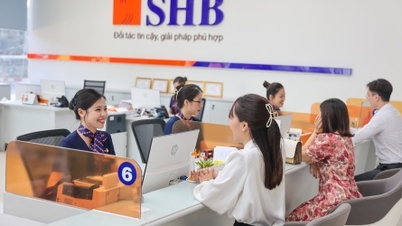أعلنت شركة SHB عن أرباح قبل الضرائب تزيد عن 15000 مليار دونغ فيتنامي، بزيادة قدرها 30٪، وتهدف إلى الوصول إلى إجمالي أصول بقيمة تريليون دونغ فيتنامي.