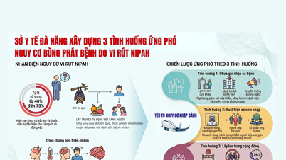 ນະຄອນດານັງເພີ່ມທະວີການຕິດຕາມກວດກາ ແລະ ກະກຽມຮັບມືກັບຄວາມສ່ຽງຂອງພະຍາດທີ່ເກີດຈາກໄວຣັດ Nipah.