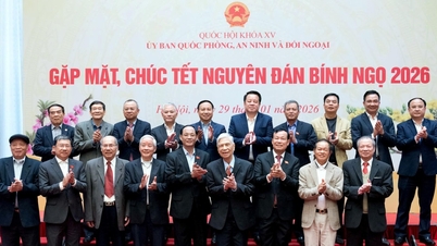 Viseformannen i nasjonalforsamlingen, generalløytnant Tran Quang Phuong, deltok på møtet og nyttårshilsenene for Hestens år 2026 i komiteen for nasjonalt forsvar, sikkerhet og utenrikssaker.