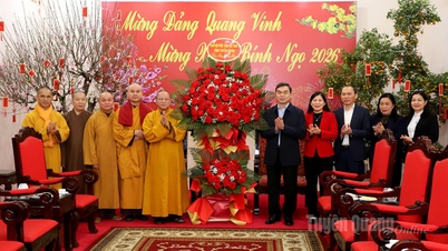 Tuyen Quang İli Vietnam Budist Derneği Yürütme Kurulu, İl Parti Komitesi ve İl Halk Komitesine yeni yıl tebriklerini iletir.