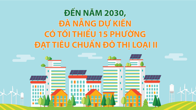 Până în 2030, se așteaptă ca Da Nang să aibă cel puțin 15 sectoare care să îndeplinească standardele unei zone urbane de tip II.